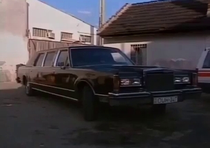 Sexy bride rides her bro dick in the limousine
